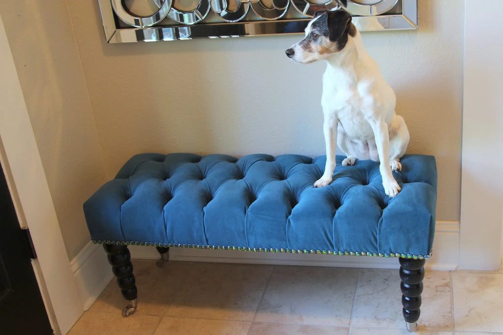 Why Is this Dog Smiling? Diamond Head Upholstery Tack